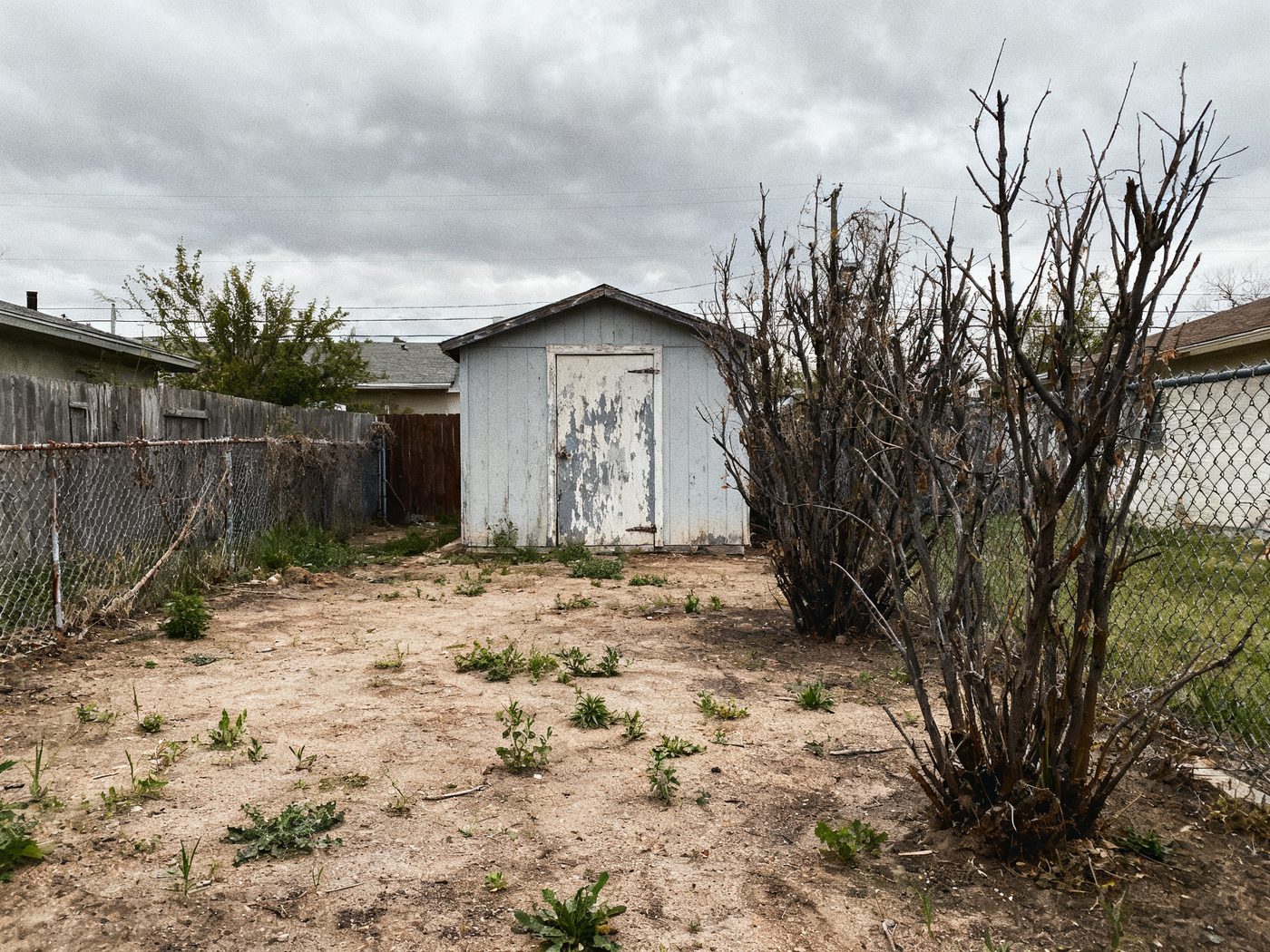 Backyard before AI design